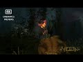 Cinematics