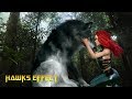 Hawks Effect Booktrailer