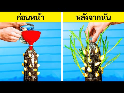 ผลสลากกินแบ่งรัฐบาล วันที่ 1 พย. 2567 ผลสลากกินแบ่งรัฐบาล วันที่ 1 พย. 2567