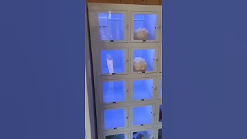 Fresh egg and fresh vegetable vending solution, cooling locker vending machine in France.