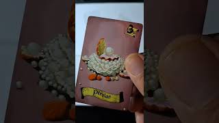 jogo de cartas Ataque Pirata - card game screenshot 3