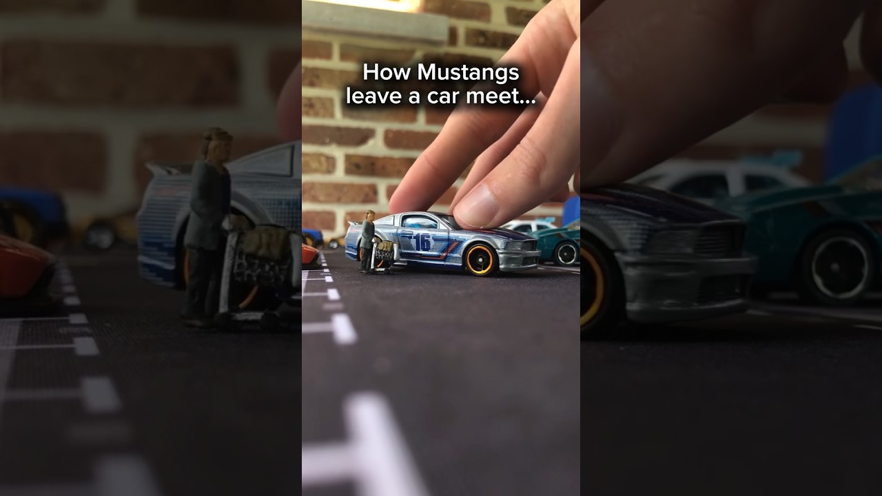 MUSTANGS at CAR MEETS🤣🤣🧯 