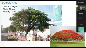 i Tree International Academy 2025, Session 5 -  i-Tree Eco and Database