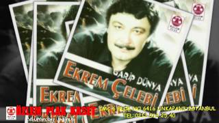 Ekrem Çelebi - Garip Dünya Resimi