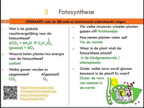 Video: Verschil Tussen Chlorofyl En Carotenoïden