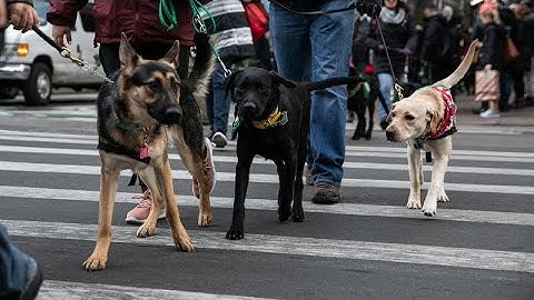 How to add alt text to photos in iOS￼