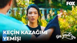 Selin Eve Yerleşiyor, Demir Çıldırıyor!😂 - Her Yerde Sen Özel Sahneler