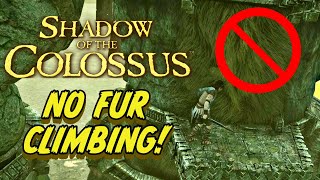 Can You Beat Shadow Of The Colossus Without Climbing Fur?