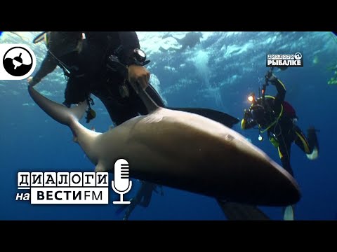 Секреты подводного видео | Диалоги на Вести ФМ