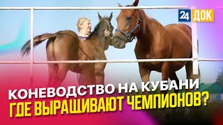 Чистокровные породы лошадей на Кубани