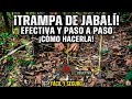 Supervivencia Indígena: Caza y Trampas Ancestrales para el Jabalí Salvaje | Indigenous Survival