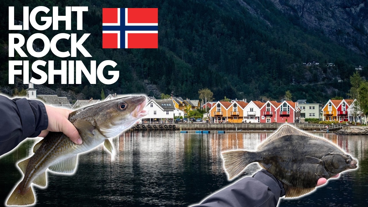 Light Rock Fishing in Norway, Crazy Catches of Flounder, Cod, Seatrout, Coalfish and Scorpion Fish!
