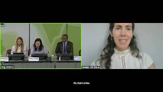 IGF 2026 Second Open Consultations - Afternoon