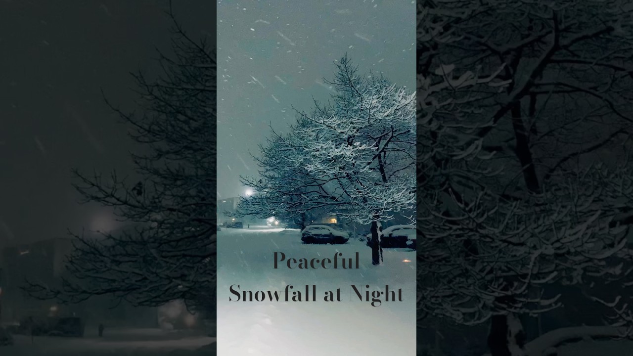 Peaceful Snowfall at Night