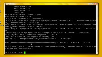 TS3 Server installieren für Anfänger (Debian & Ubuntu)