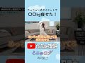 ウォニョン式ダイエットで〇〇kg痩せた!