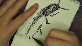 Inktober 2019 - Day 18