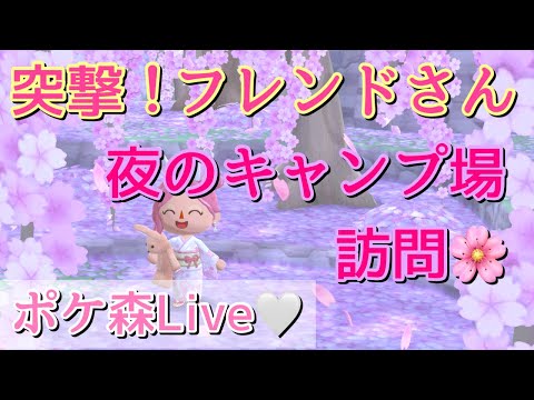 【ポケ森ライブ】突撃フレンドさん！夜のキャンプ場訪問🌸ミニゲームもやるよ～