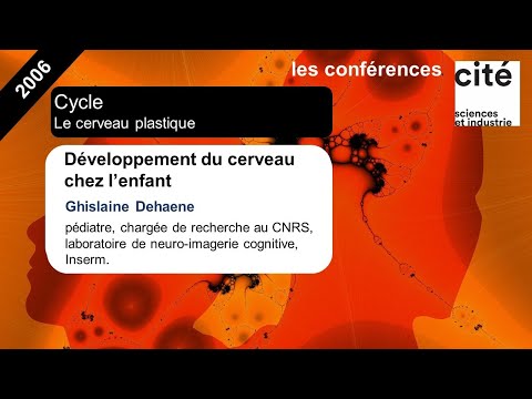 Vidéo: Quand le cerveau d'un enfant cesse-t-il de se développer ?