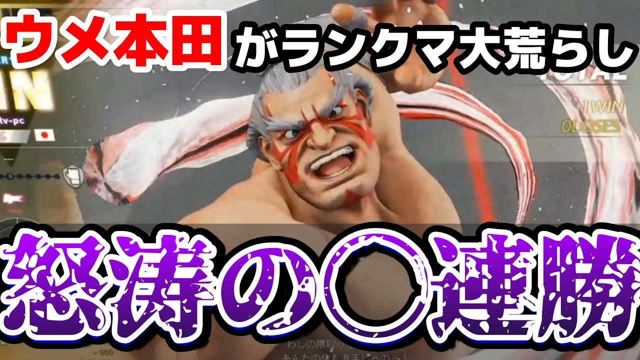 ウメハラ ウメ本田の快進撃が止まらない あまりにも勝ちすぎて 誰か俺をコ してくれー Youtube