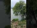 feel the nature