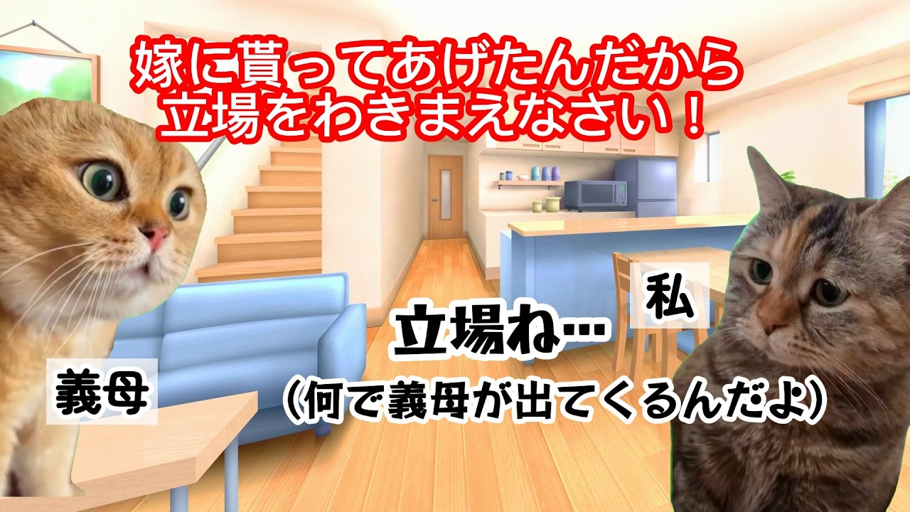 【スカッと猫ミーム】帰宅するなり「ご飯まだ？」と催促する夫。駆けつけた義母が離婚届を提出してくれた結果 #猫ミーム