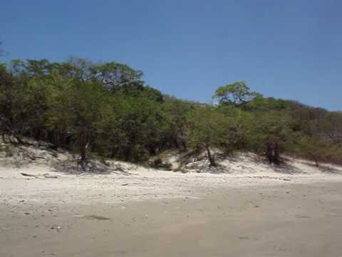 Nicaragua Real Estate -- Beachfront Lots at Manzan...