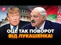 😲У Білорусі трапилося НЕЩО ДИВНЕ! Лукашенко пообіцяв Трампу ТАКЕ, що у всіх відвисла щелепа