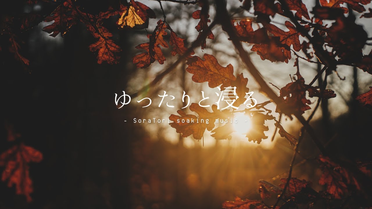 【黙想用】秋陽のピアノ｜落ち葉の気配と光の中で｜Meditation Piano（3h）