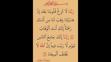 آيات من الذكر الحكيم