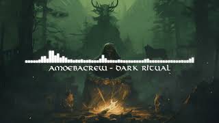 Viking music, atmospheric music, dark folk, shamanic music, tagelharpa, ritual drums | Dark Ritual