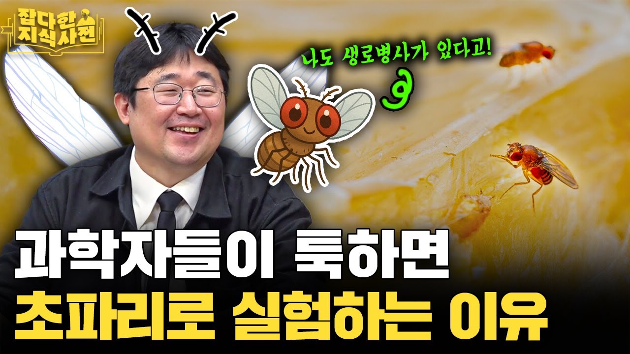 한낱 초파리 실험 결과가 어떻게 사람 몸에 적용될 수 있을까?🪰