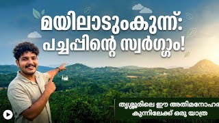 Trekking into the greenery of Mayiladumkunnu! Full tour inside#ExploreKerala#Mayiladumkunnu#Greenery