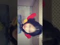 wkwkwk yang terakhir