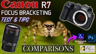CANON R7 Focus Bracketing REVIEW for MACRO: Hand-held vs Tripod Shots  | Depth Composite Viability