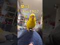 可愛い勘違い