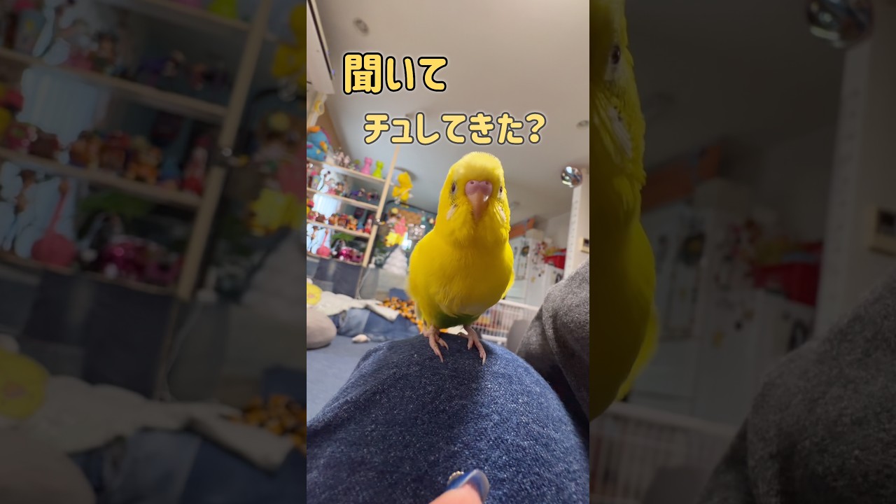 可愛い勘違い