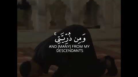 القرآن الكريم بصوت يبعث الطمأنينه 🤍❤🌱