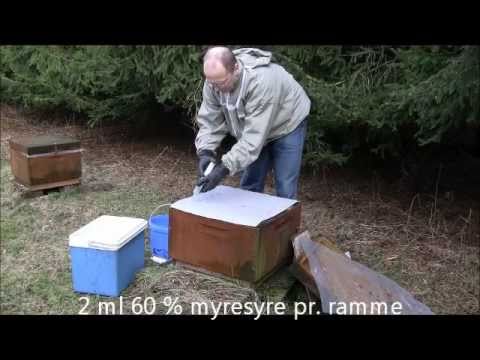 Myresyre behandling mod varroamider