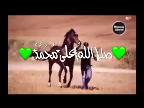 جذع النخل لطه شكى ذراع الشاة له كل م مع كلمات