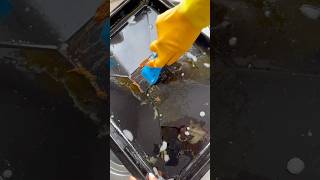 From Greasy To Gorgeous