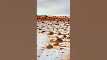 على الطريق الي نهاية 