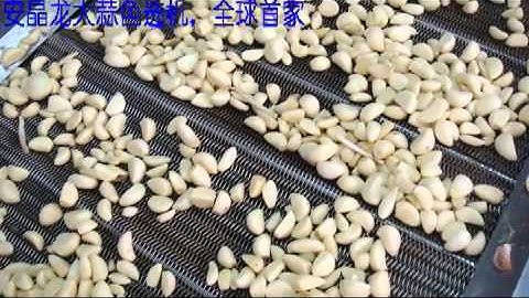 Garlic Clove color sorter www.ajlong.cn  .......www.ajlong.cn(jasmine@ajlong.cn;+18019956708)
