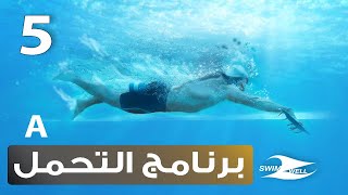 التحمل في السباحة ضمن خطة التدريب | القسم الأول | سلسلة السباح الاحترافي