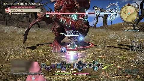 The Bathing Bully - Final Fantasy XIV