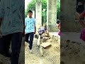 Harsha Sai inspiration #harshasai and #serveneedy  Goutham #shortvideo #youtubeshorts #shorts