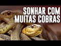 SONHAR COM MUITAS COBRAS: Significado e interpretações - É MORTE?