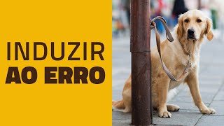 Não induza o seu cachorro ao ERRO!