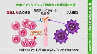 33冊 がん 脳梗塞 健康 長生き 長寿 アンチエイジング 予防 病気 免疫 33冊 がん 脳梗塞 健康 長生き 長寿 アンチエイジング 予防 病気