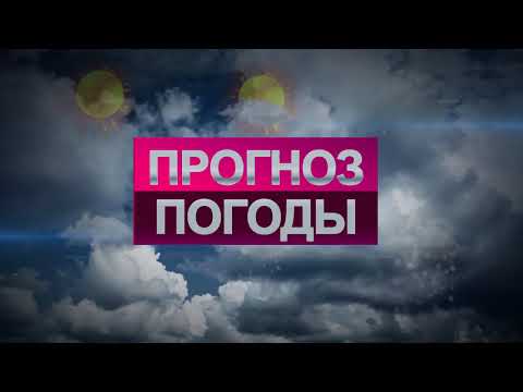 Погода на 24